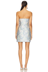 x REVOLVE Renata Mini Dress