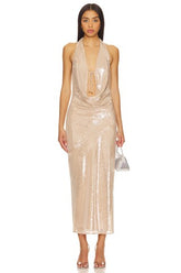 Stevie Sequin Midi Dress