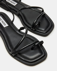 Antelle Black Snake - Sm Rebooted