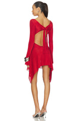 x REVOLVE Rose Dress