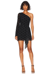 x REVOLVE Cueva Mini Dress