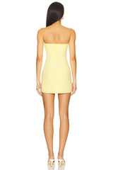 Drew Mini Dress