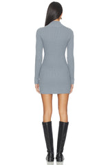 Noha Mock Neck Mini Dress