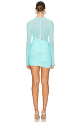 Mesh Long Sleeve Mini Dress