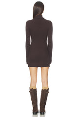 Knit Turtleneck Tunic Dress