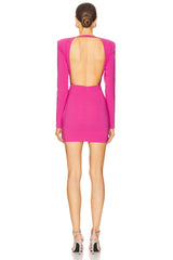 x REVOLVE Fena Mini Dress