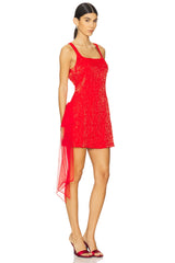 Frosted Organza Mini Dress