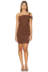 Ruched Mesh Mini Dress