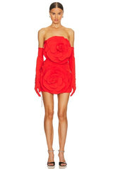 Rose Dress With Gloves