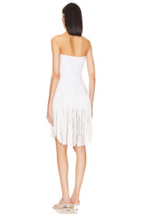 x REVOLVE Fringe Dress