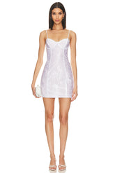 Lindy Lace Mini Dress