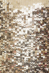 Isabetta Sequin Fringe Mini Dress