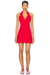 Tara Polo Mini Dress