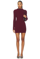 North Sweater Dress