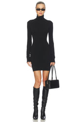 Steffi Turtleneck Mini Dress