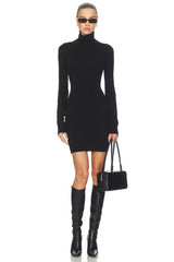 Steffi Turtleneck Mini Dress