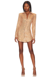 Erika Shirt Dress