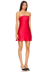 Taylor Tube Mini Dress