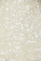 x REVOLVE Alex Sequin Mini Dress