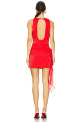 Frosted Organza Mini Dress