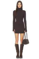 Knit Turtleneck Tunic Dress