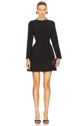 Delphi Long Sleeve Mini Dress