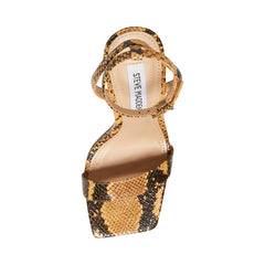 Karri Tan Snake - Sm Rebooted