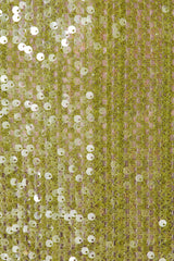 Brihante Sequin Maxi Dress