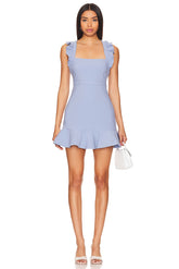 Hara Mini Dress