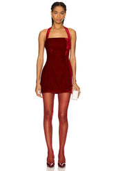 Vivica Velvet Mini Dress