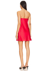 Taylor Tube Mini Dress