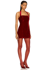 Vivica Velvet Mini Dress