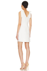 Tie Sleeve Mini Dress