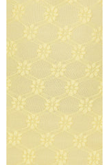 Adoni Mesh Maxi Dress