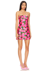 Taylor Tube Mini Dress
