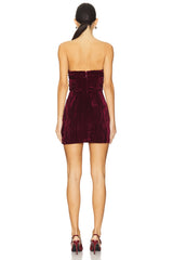 x REVOLVE Balley Mini Dress