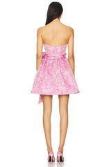 Nadeen Aline Mini Dress