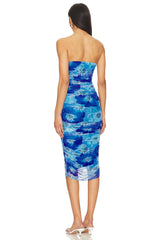 Micayla Ruched Dress