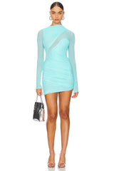 Mesh Long Sleeve Mini Dress
