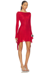 x REVOLVE Rose Dress