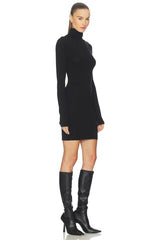 Steffi Turtleneck Mini Dress