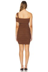 Ruched Mesh Mini Dress
