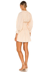 Hayden Mini Dress