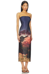 Enigma Strapless Slim Midi Dress