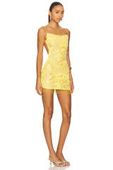 Beaded Mesh Mirage Dress