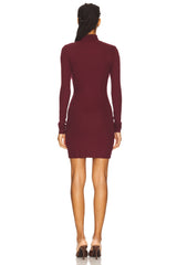 Long Sleeve Turtleneck Butter Rib Mini Dress