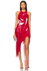 Bursting Flower Wetlook Dress