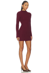 North Sweater Dress