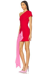 x REVOLVE Jamie Dress