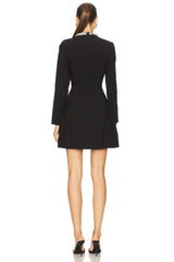 Delphi Long Sleeve Mini Dress